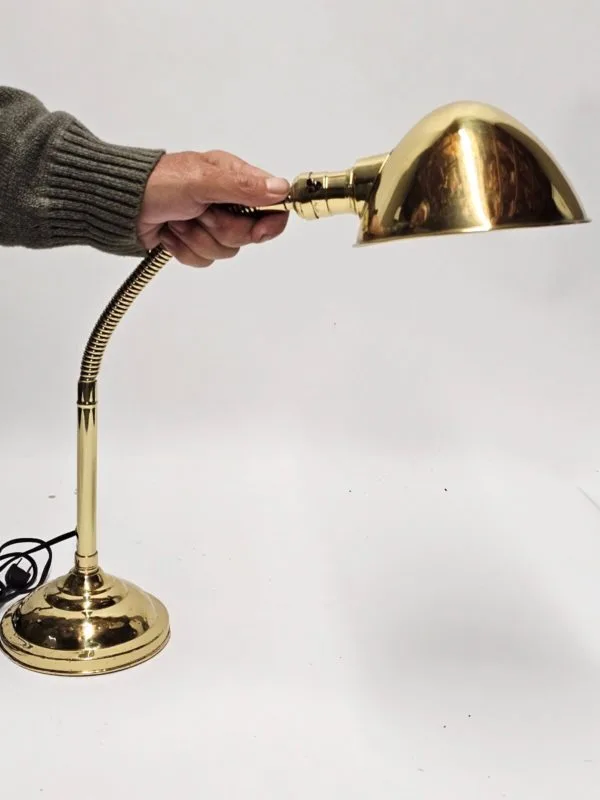 Bardley and Hubbard Brass Gooseneck Desk Lamp